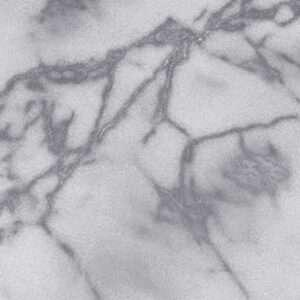 Arctic white marbles tiles