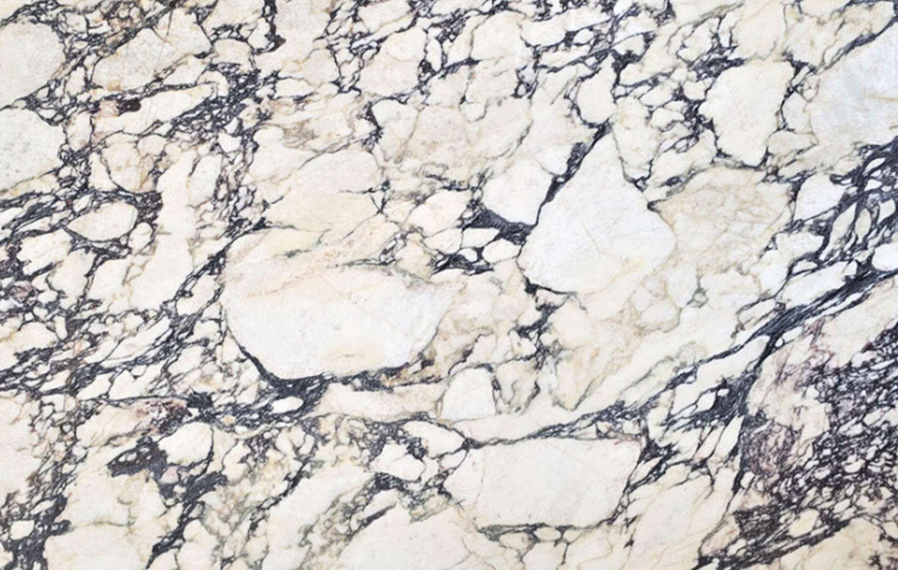 calacatta-viola-marble-2 Calacatta Viola marble